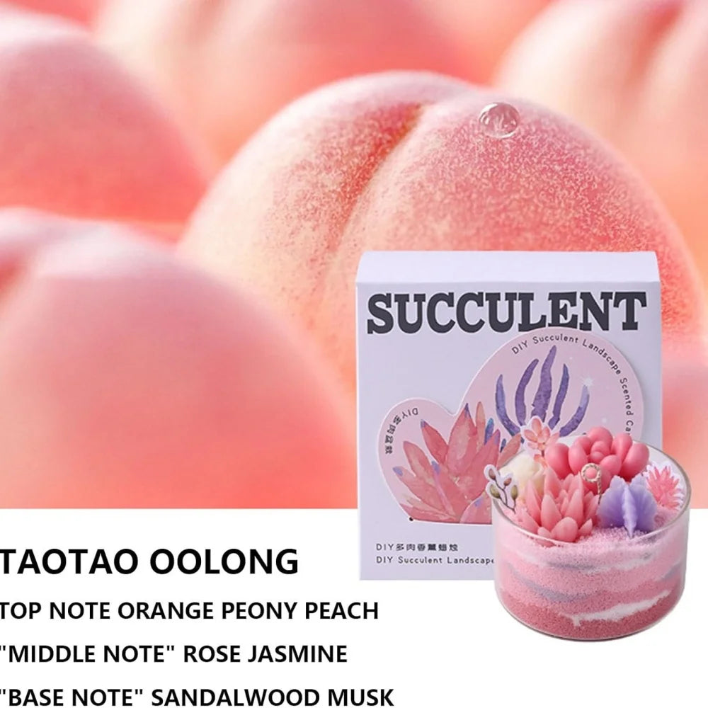 : DIY Succulent Candle Kit – Handmade Scented Candle Set