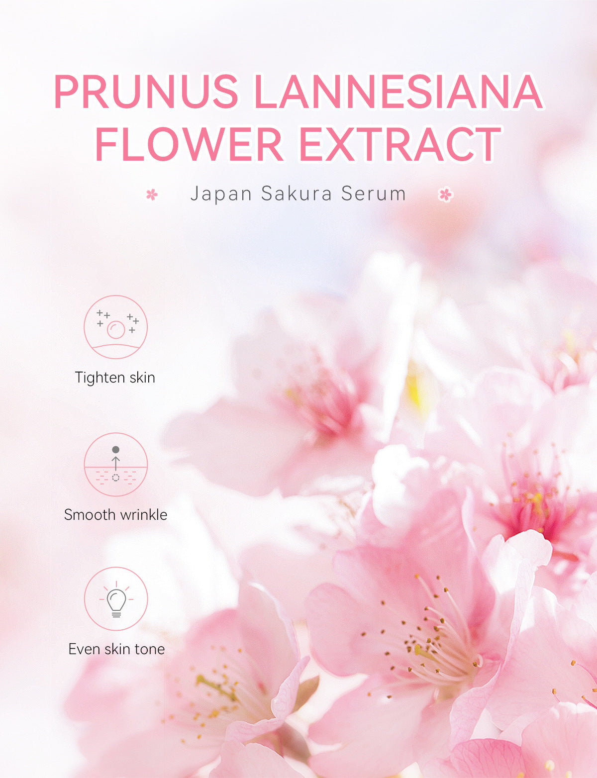 Sakura Face Care Serum: