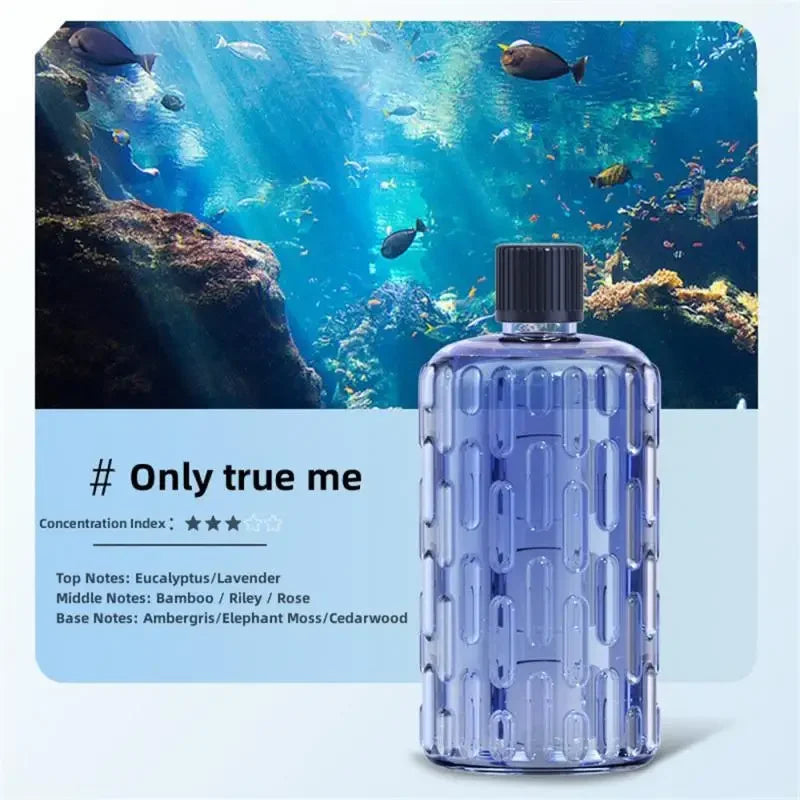 Aroma Diffuser Humidifier – Essential Oil Aromatherapy Machine for Bedroom, Bathroom & Hotel